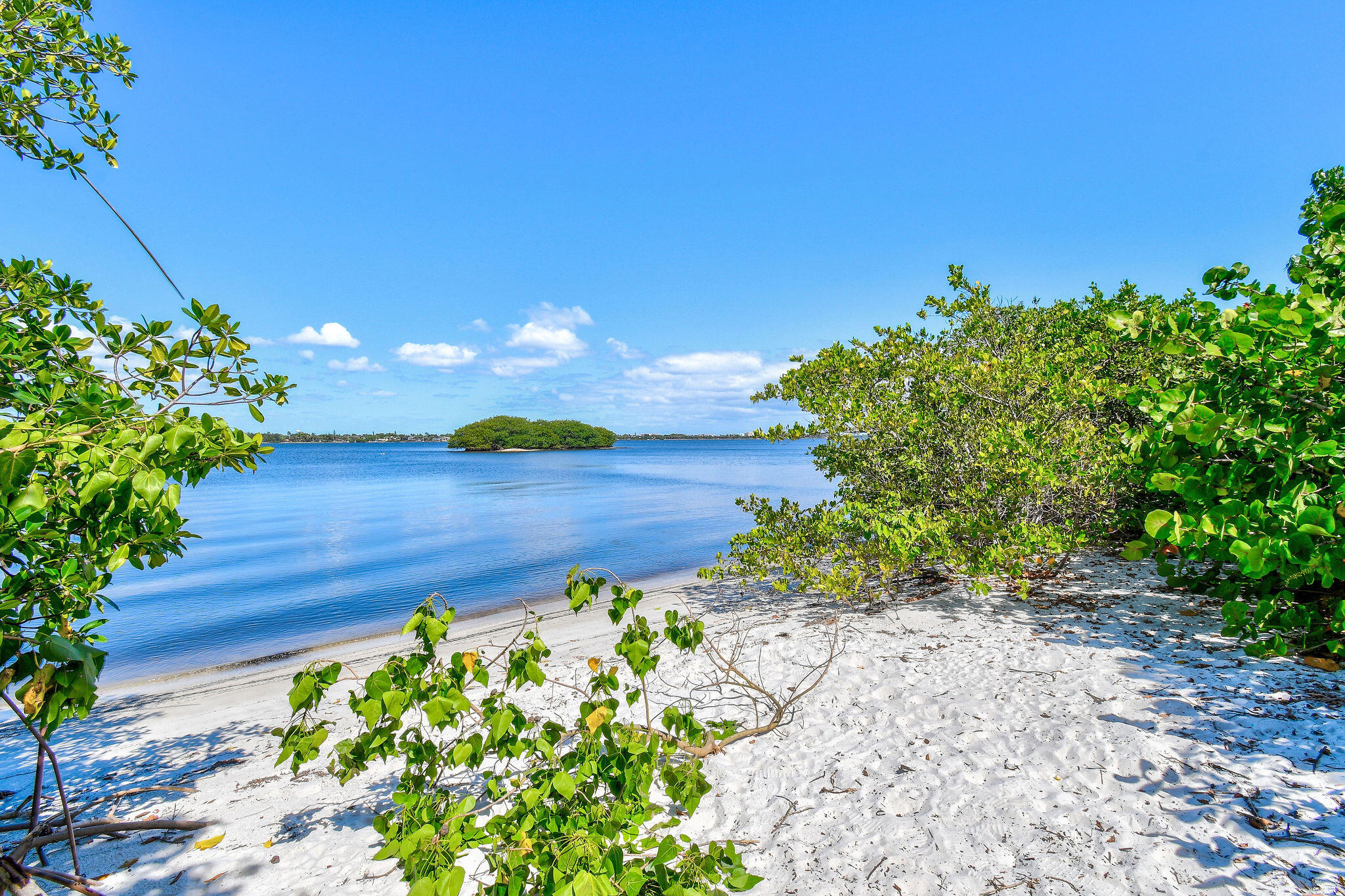 3440 South Ocean Boulevard, Unit 105S Palm Beach, FL 33480 - Photo 67 of 77 TheHalcyon(29)