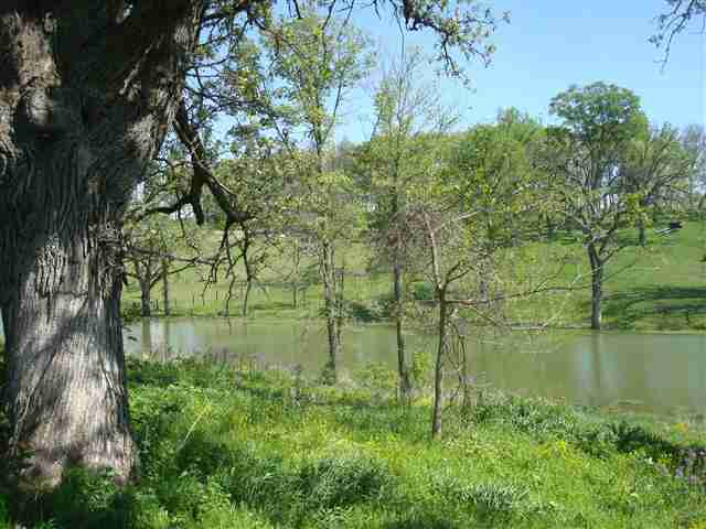 Lot 18 Secluded Ridge Tipton, IA 52772 - Photo 7 of 18 Gallery Image 7