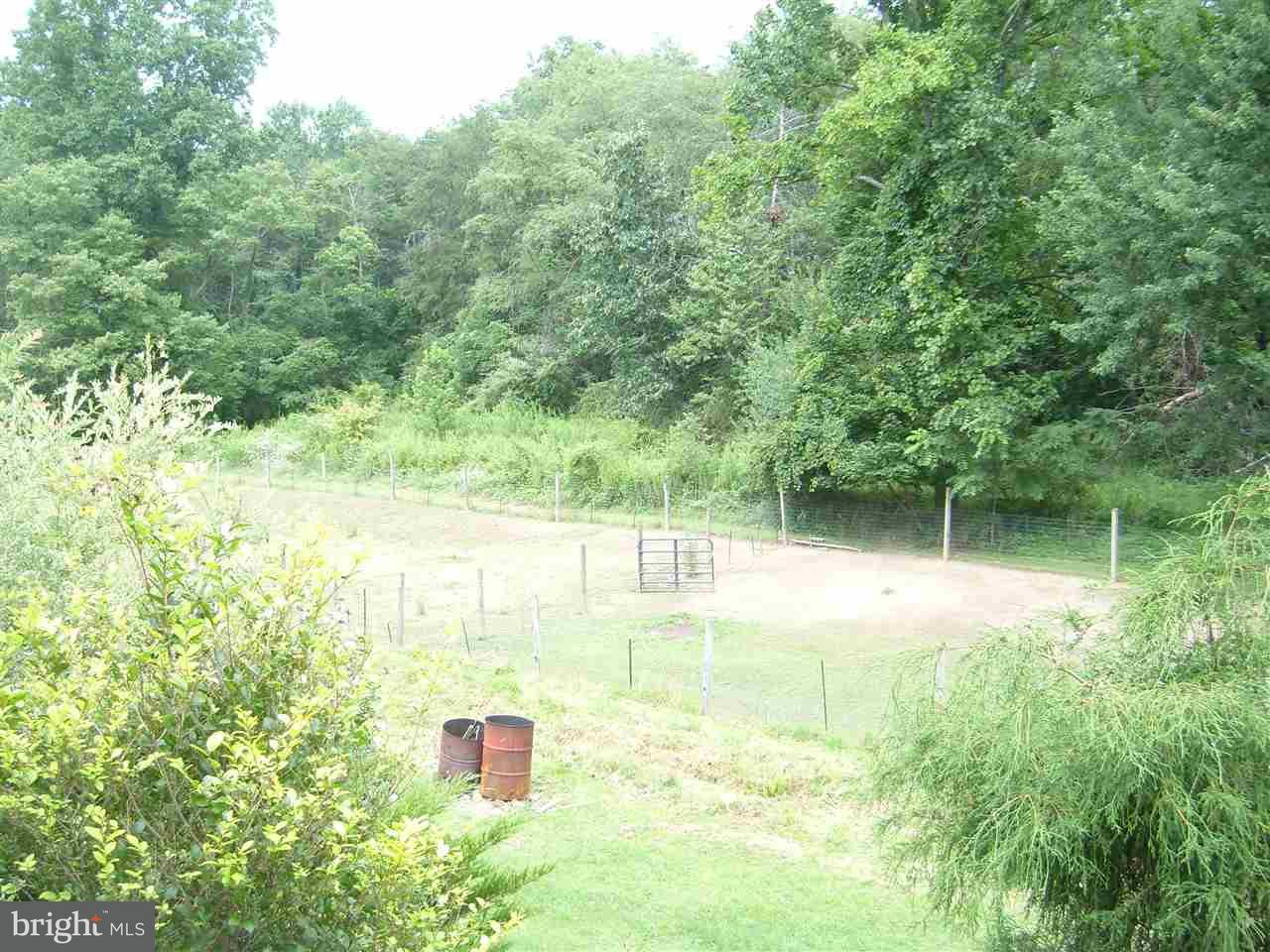 6566 Spring Road Shermans Dale, PA 17090 - Photo 21 of 24 Gallery Image 21