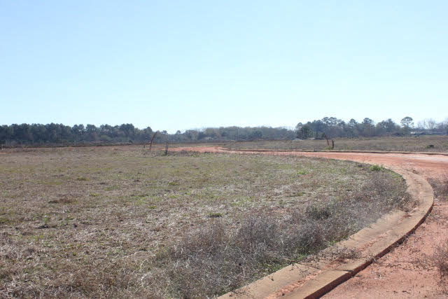 98 US Highway 98 Foley, AL 36535 - Photo 3 of 5