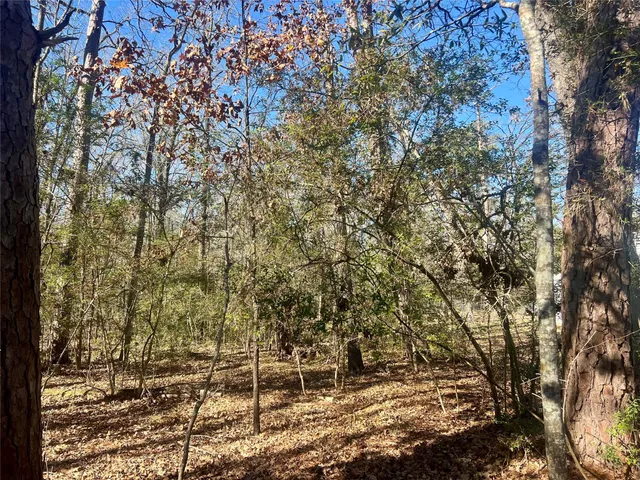 $7,500 | Tbd Hackberry Drive, Onalaska, TX 77360