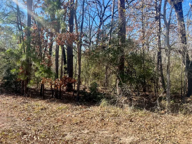 a view of outdoor space with garden