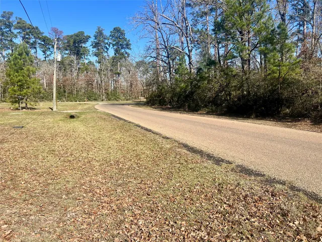 a view of a yard with trees