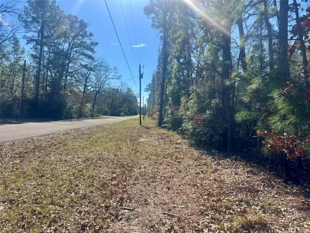 a view of backyard with green space
