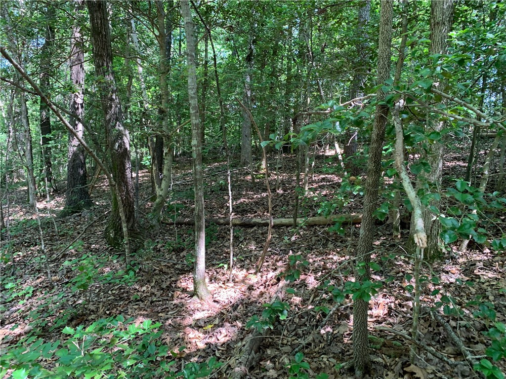 0 East Side Penrose Road Pickens, SC 29671 - Photo 2 of 4