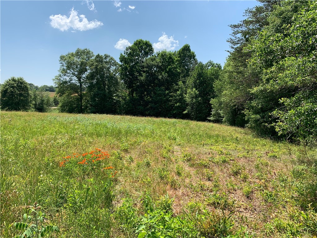 0 East Side Penrose Road Pickens, SC 29671 - Photo 4 of 4