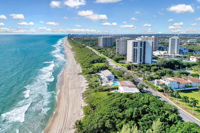 a view of a garden with an outdoor space