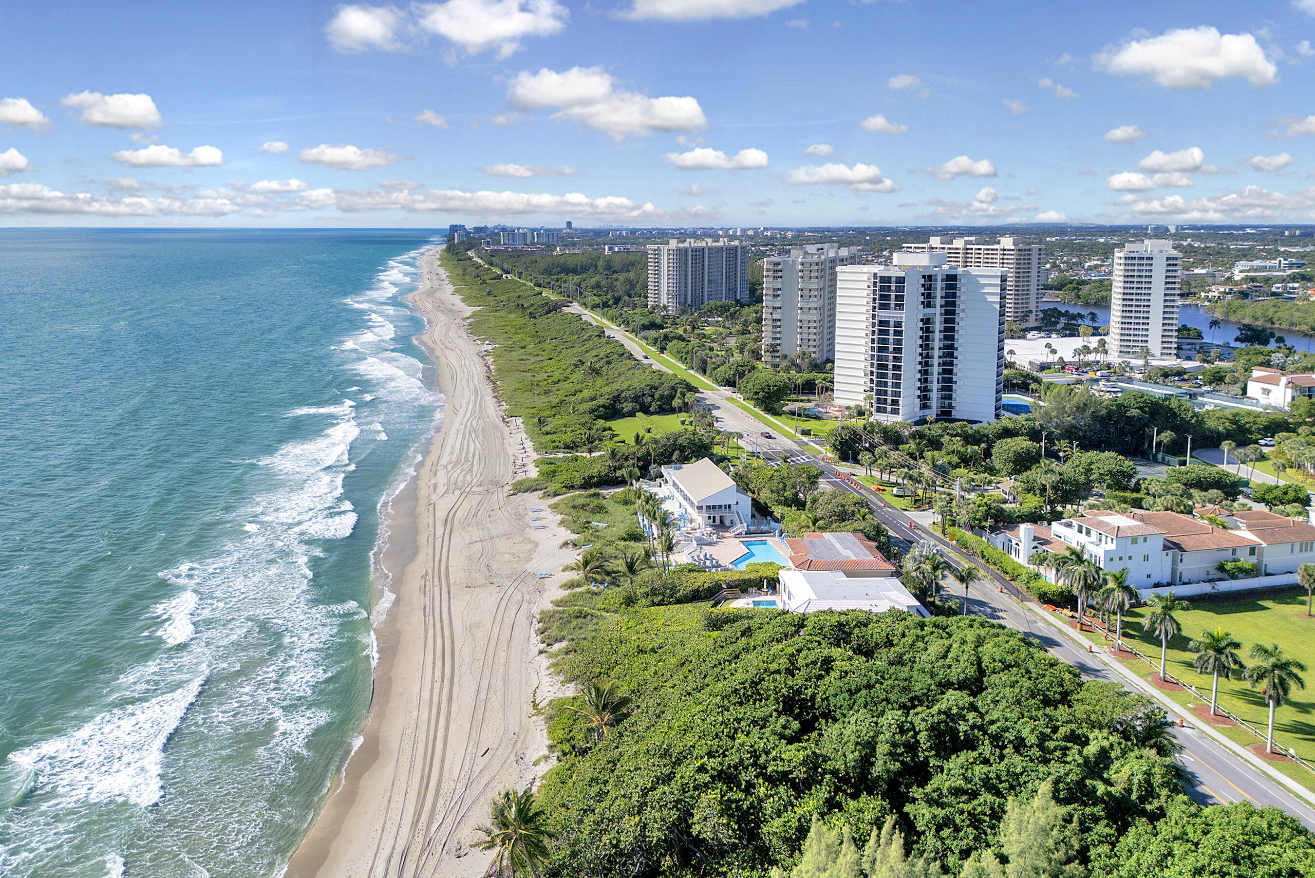 a view of a garden with an outdoor space