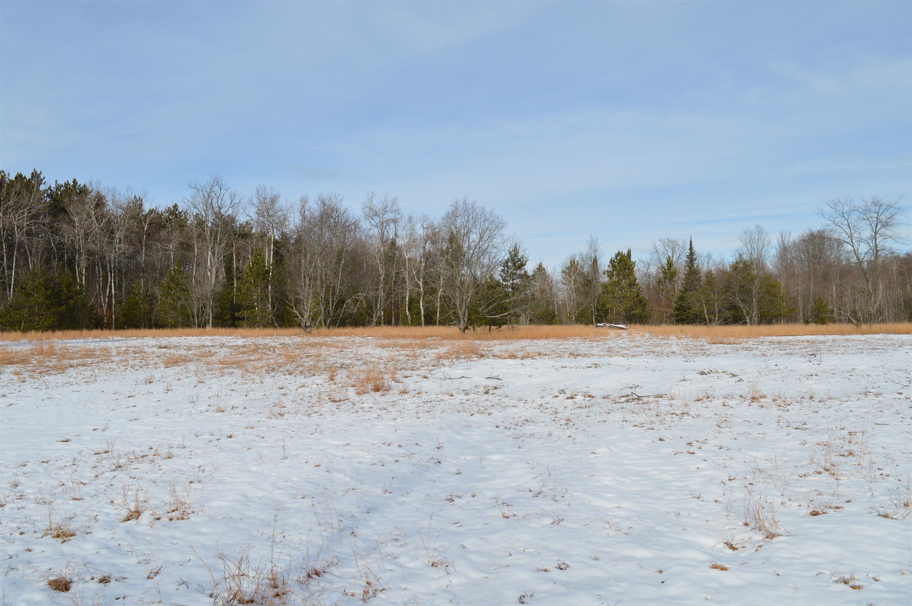 Off Wood Road Northeast Kalkaska, MI 49646 - Photo 14 of 22