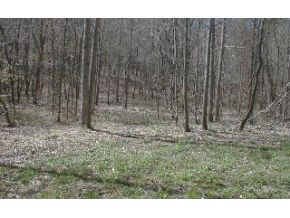 7544 East Lampkins Ridge Road Bloomington, IN 47401 - Photo 14 of 15
