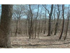 7544 East Lampkins Ridge Road Bloomington, IN 47401 - Photo 8 of 15