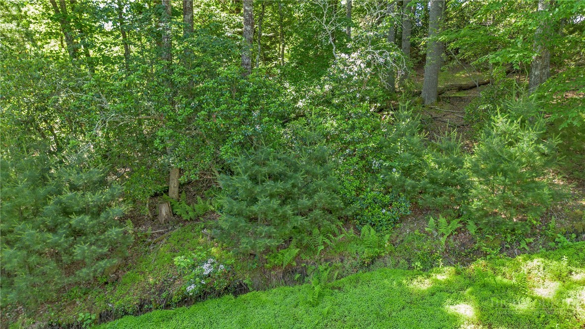 324 Hidden Spring Road West Jefferson, NC 28694 - Photo 38 of 38