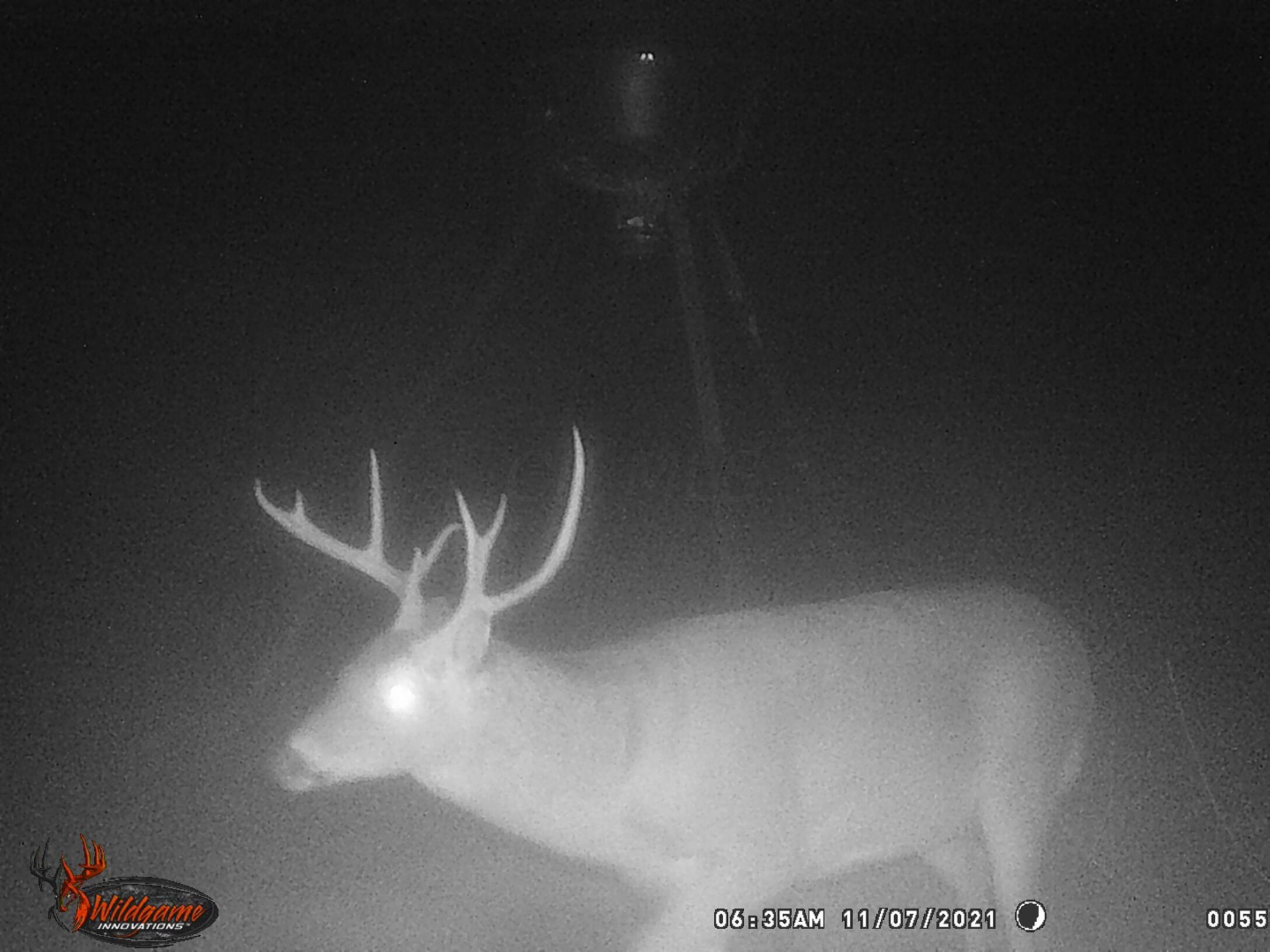 0 Lovett Road Long Bottom, OH 45743 - Photo 36 of 39 WGI_0055