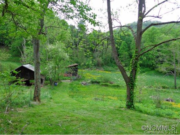 80 Merida Gap Road Canton, NC 28716 - Photo 2 of 18 a view of backyard with green space