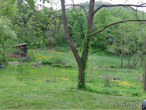 80 Merida Gap Road Canton, NC 28716 - Photo 17 of 18 a view of a lush green forest