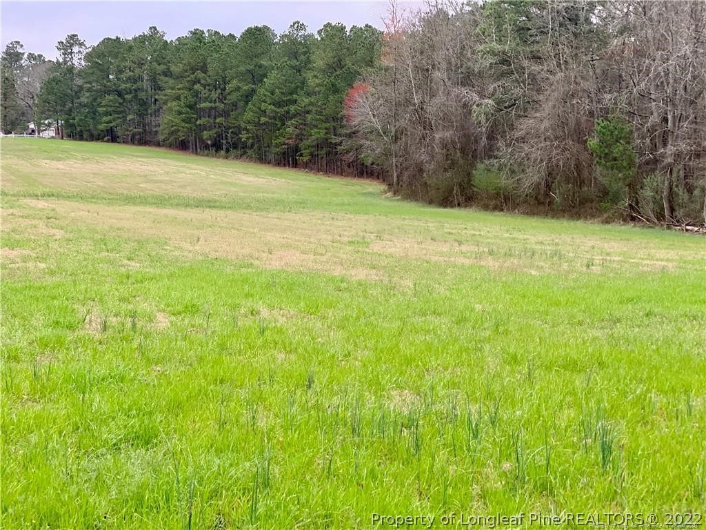 Cypress Road Cameron, NC 28326 - Photo 2 of 5 a view of a field with an trees in the background