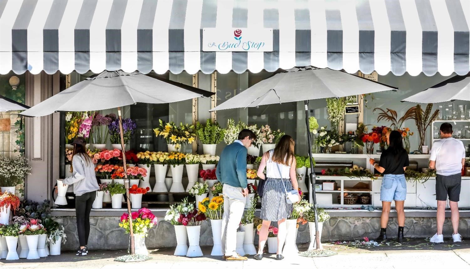 3321 Octavia Street San Francisco, CA 94123 - Photo 59 of 88