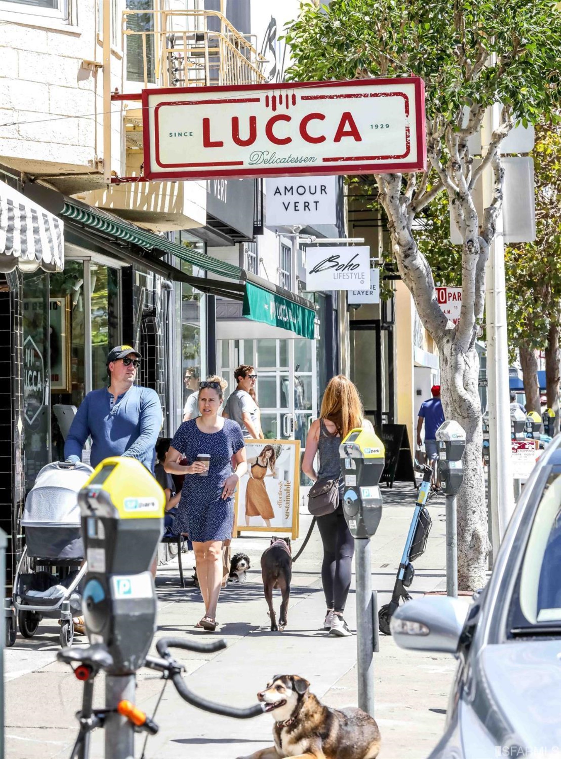 3321 Octavia Street San Francisco, CA 94123 - Photo 85 of 88