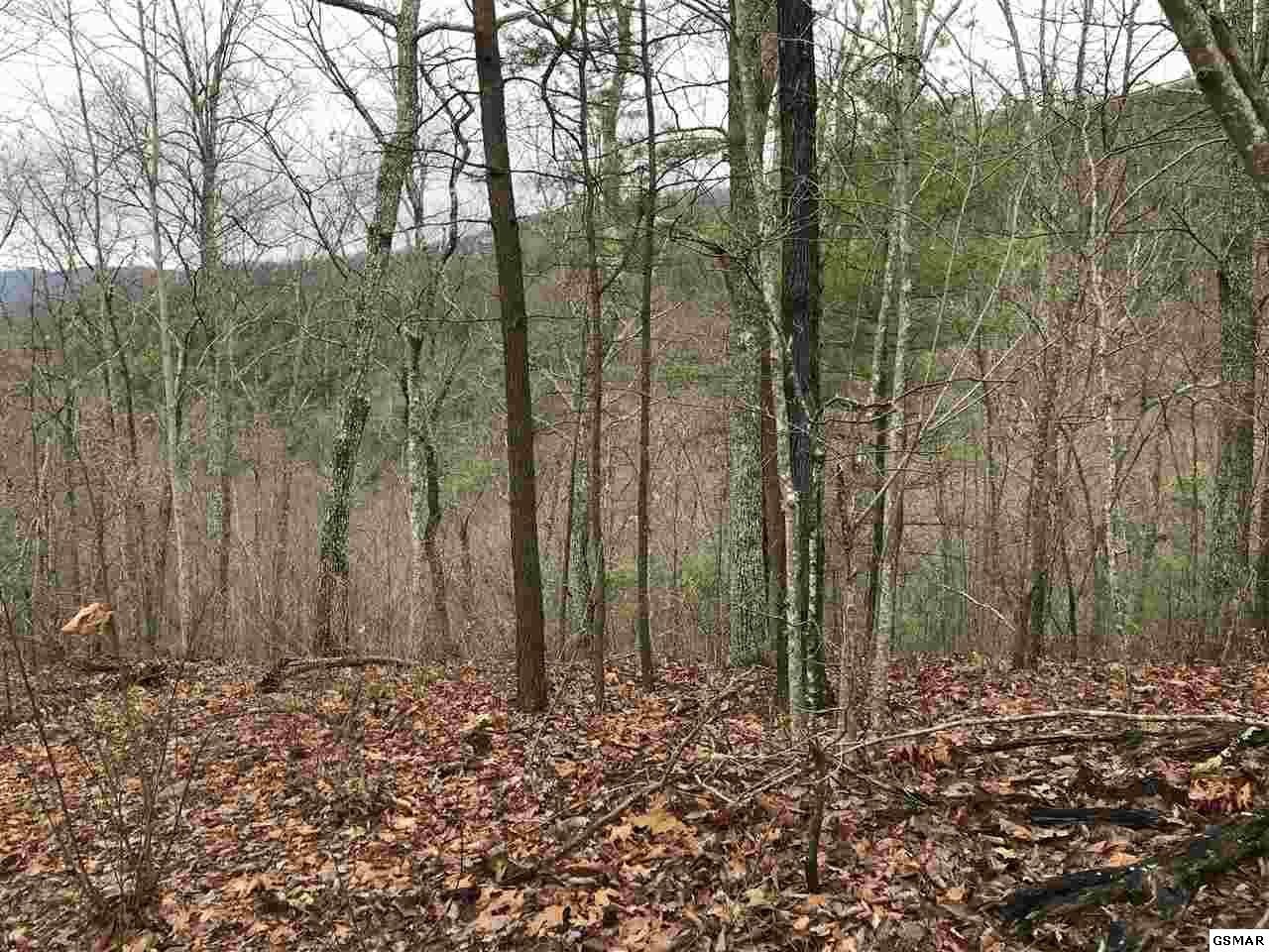 0 Lot 5-e Stackstone Road Sevierville, TN 37862 - Photo 6 of 9 Gallery Image 6