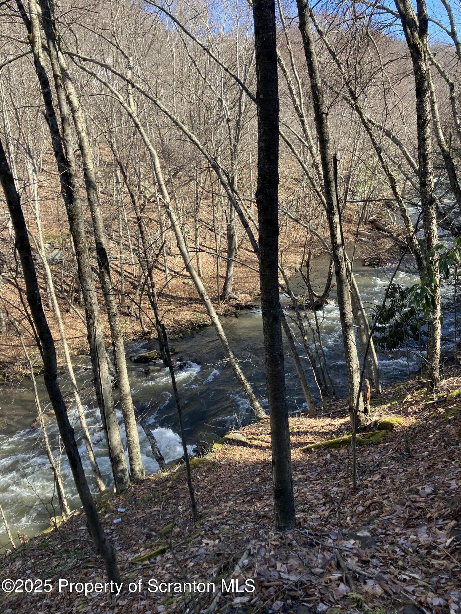 2 Lord Avenue Simpson, PA 18407 - Photo 54 of 62 IMG_5661