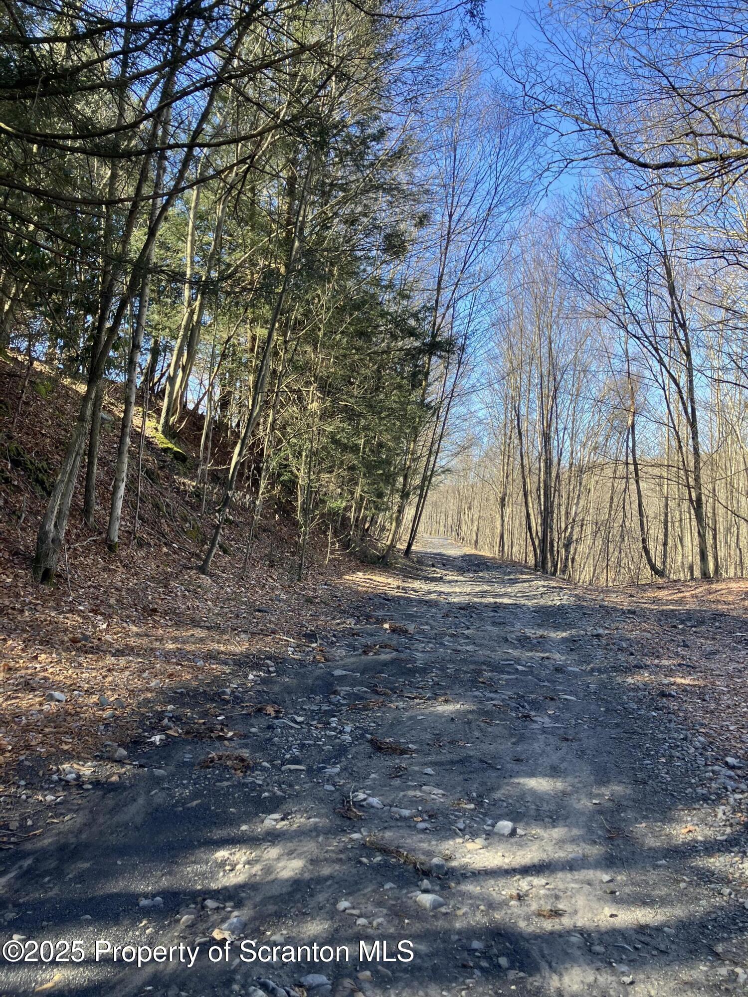 2 Lord Avenue Simpson, PA 18407 - Photo 55 of 62 a view of yard covered with trees
