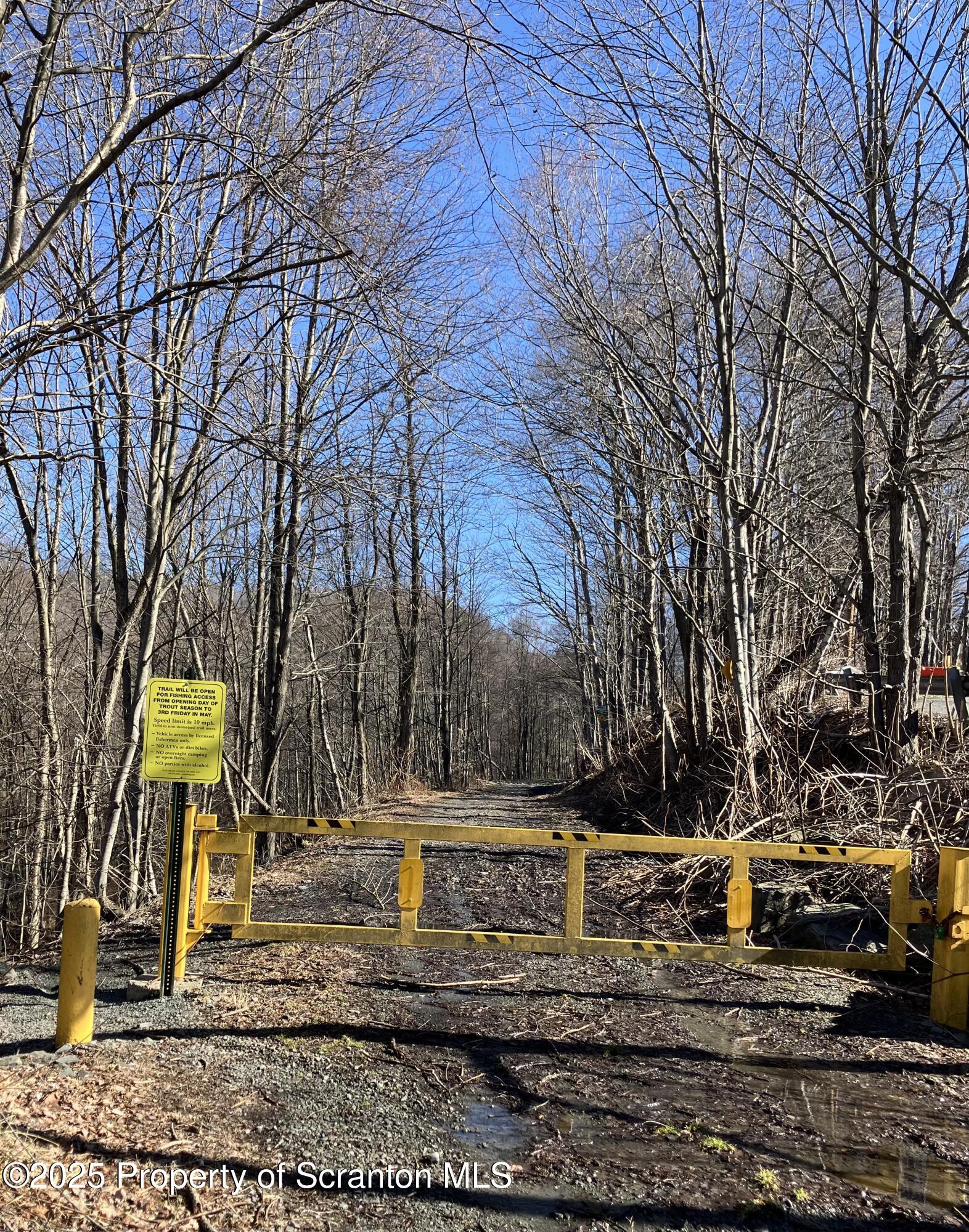 2 Lord Avenue Simpson, PA 18407 - Photo 56 of 62 a view of yard along with trees