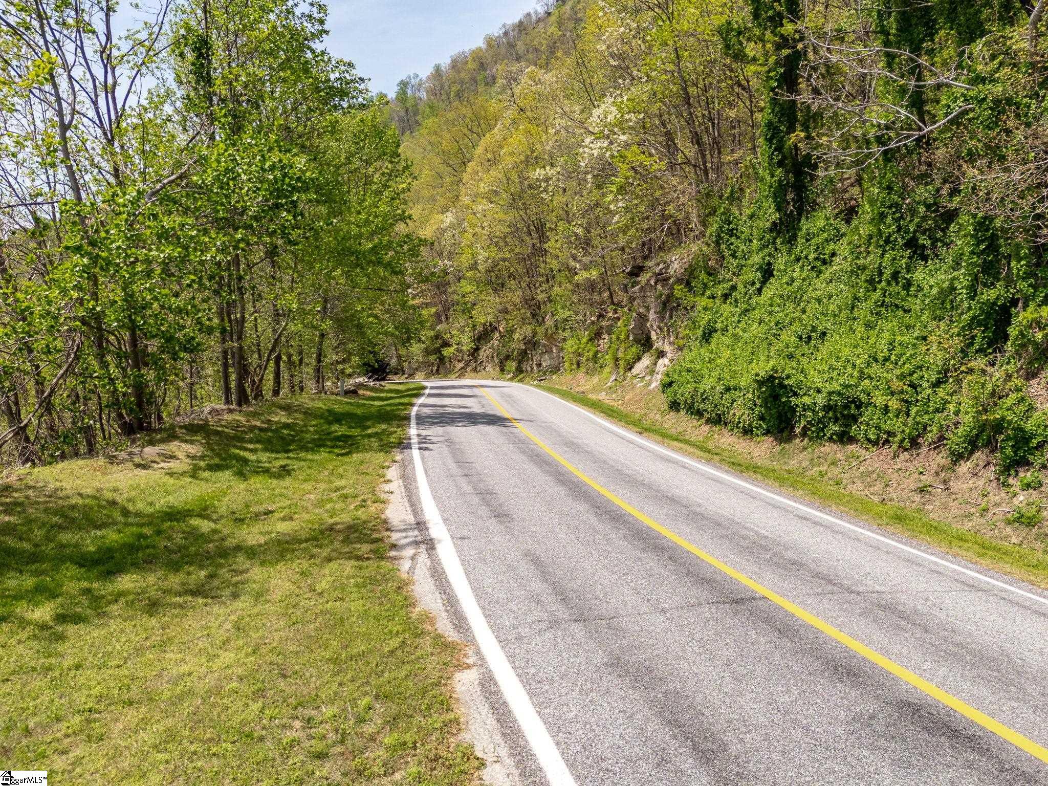 809 Plumley Summit Road Landrum, SC 29356 - Photo 11 of 28