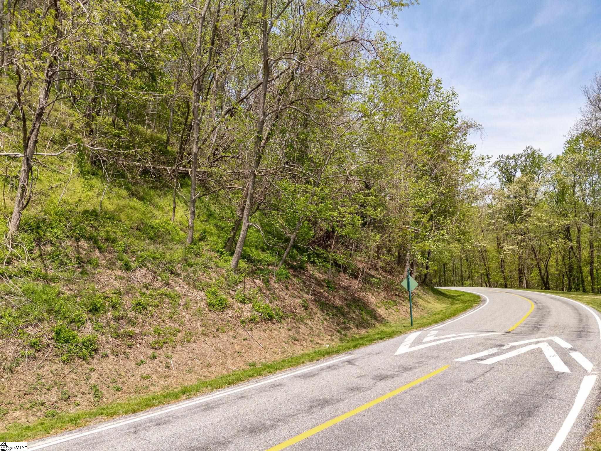 809 Plumley Summit Road Landrum, SC 29356 - Photo 12 of 28