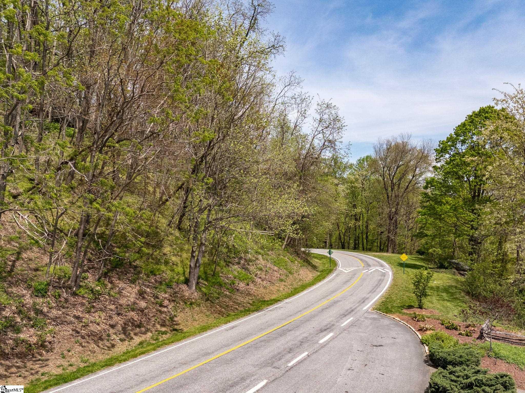 809 Plumley Summit Road Landrum, SC 29356 - Photo 13 of 28