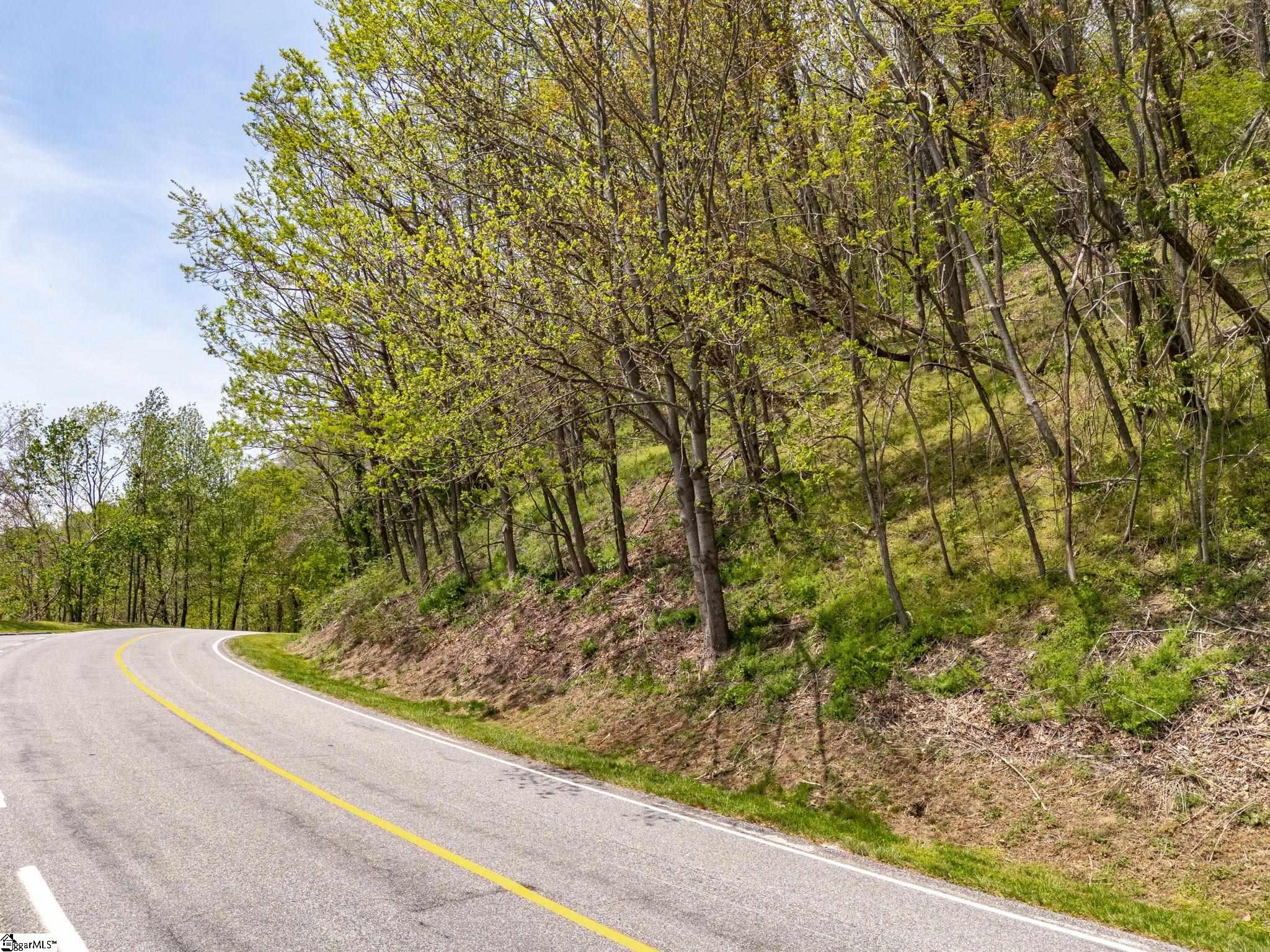 809 Plumley Summit Road Landrum, SC 29356 - Photo 14 of 28