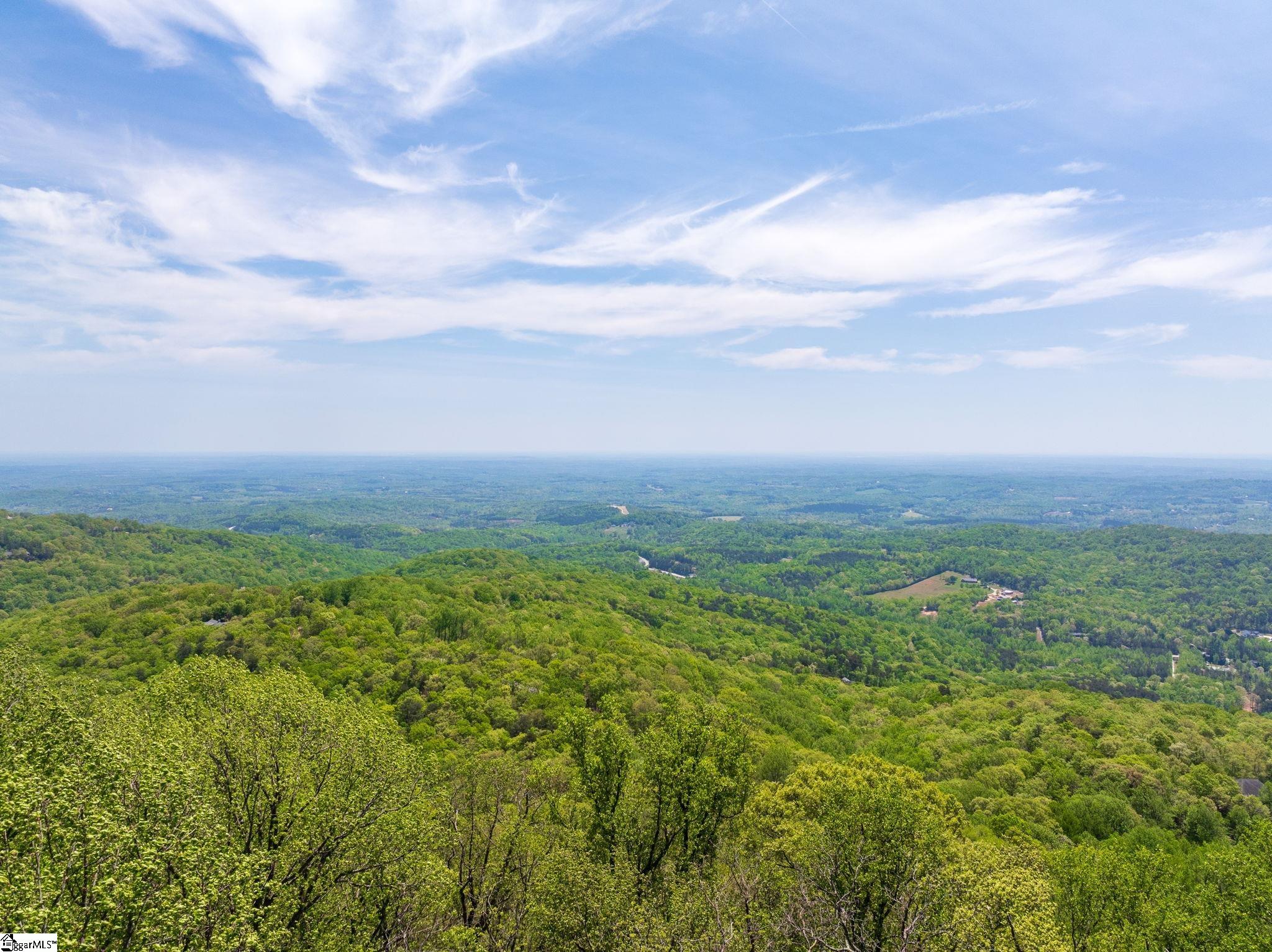 809 Plumley Summit Road Landrum, SC 29356 - Photo 16 of 28