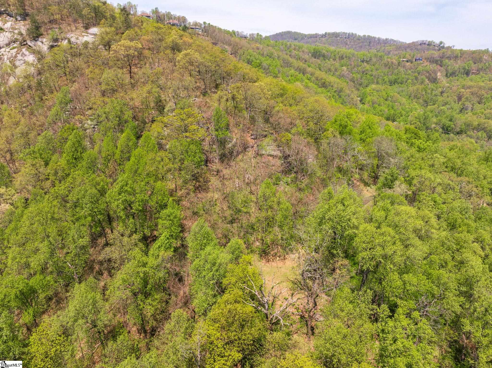 809 Plumley Summit Road Landrum, SC 29356 - Photo 17 of 28