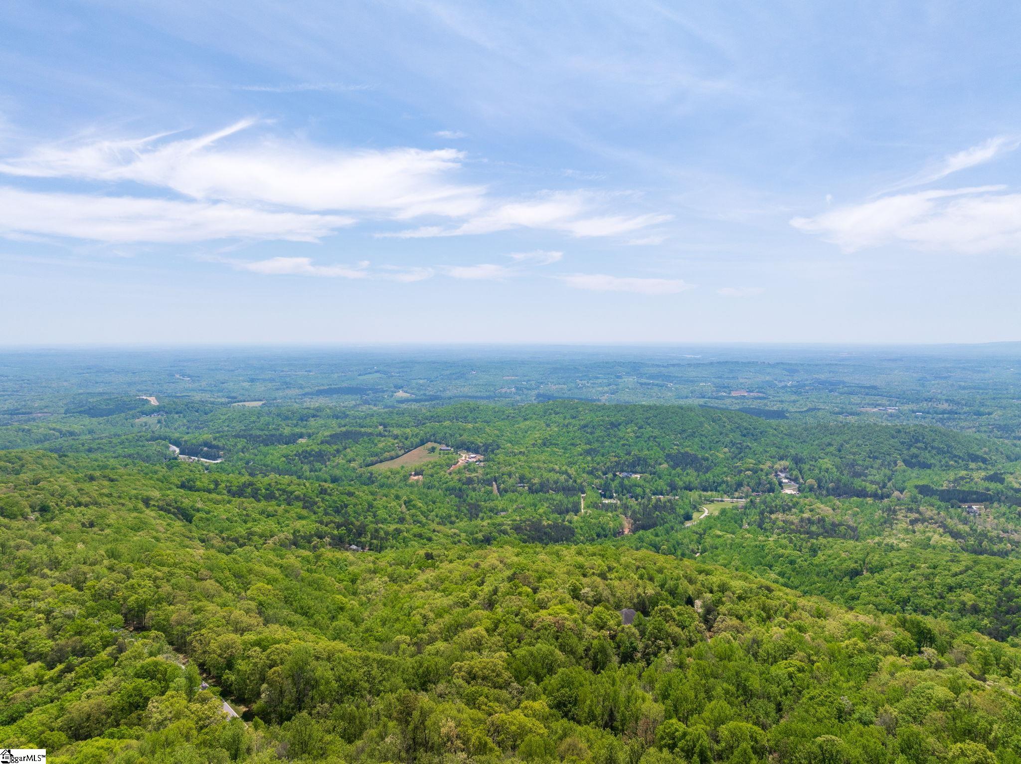 809 Plumley Summit Road Landrum, SC 29356 - Photo 18 of 28
