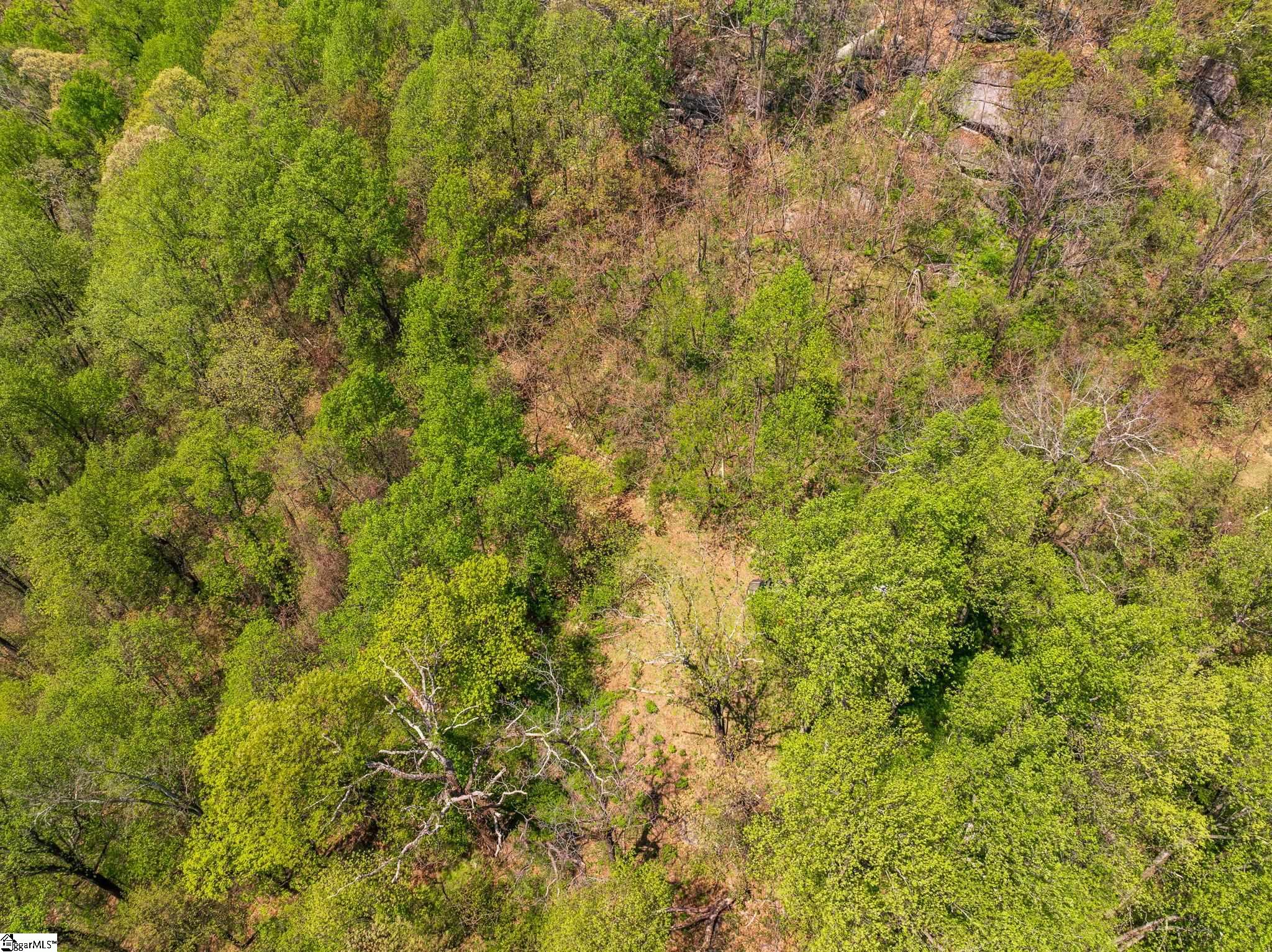 809 Plumley Summit Road Landrum, SC 29356 - Photo 19 of 28