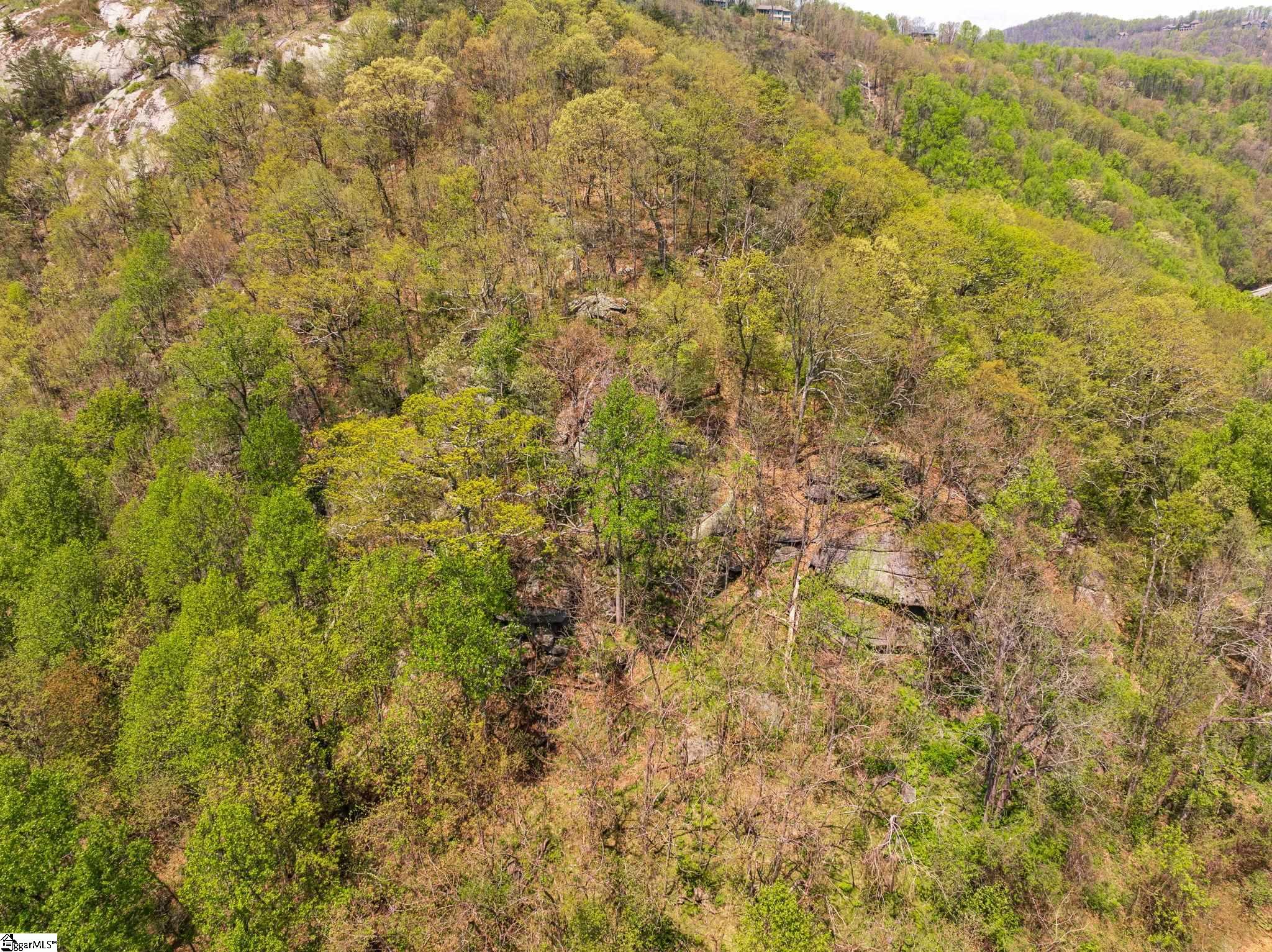 809 Plumley Summit Road Landrum, SC 29356 - Photo 20 of 28