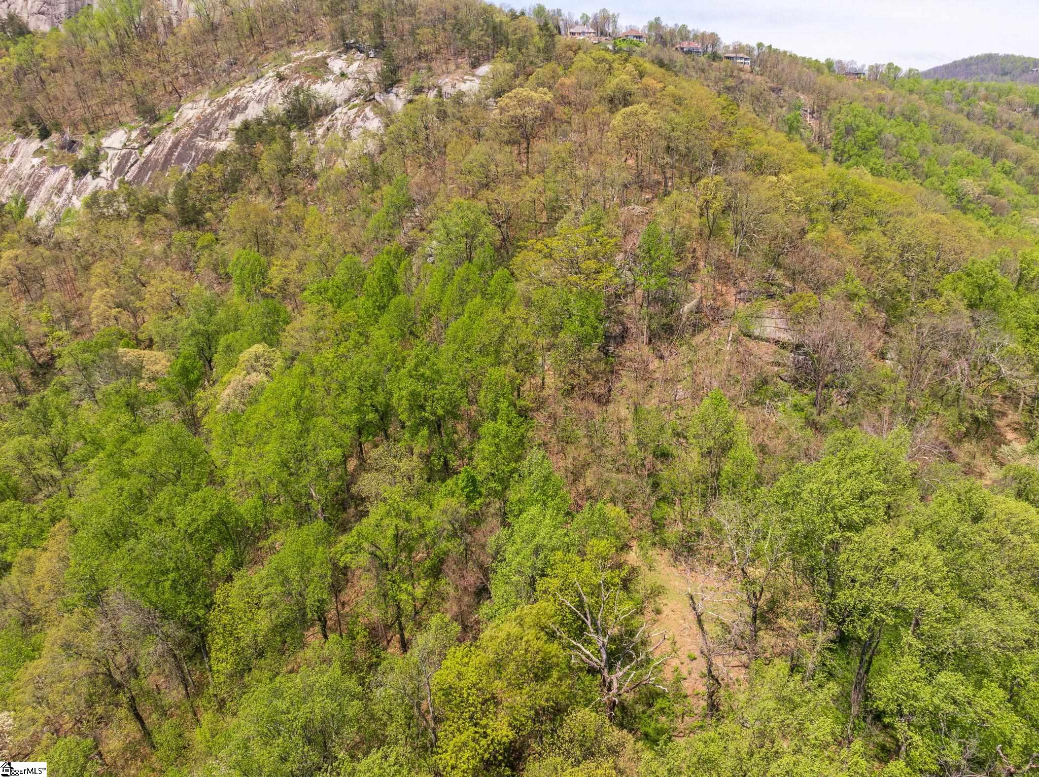 809 Plumley Summit Road Landrum, SC 29356 - Photo 21 of 28
