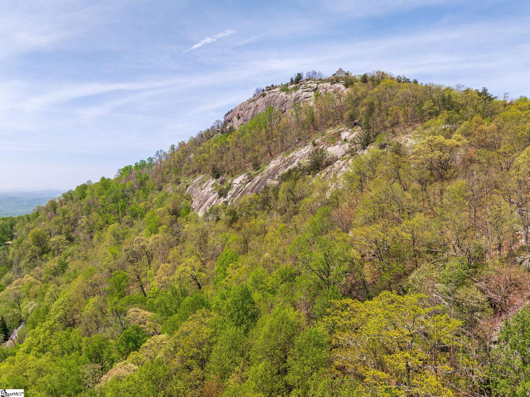 809 Plumley Summit Road Landrum, SC 29356 - Photo 22 of 28