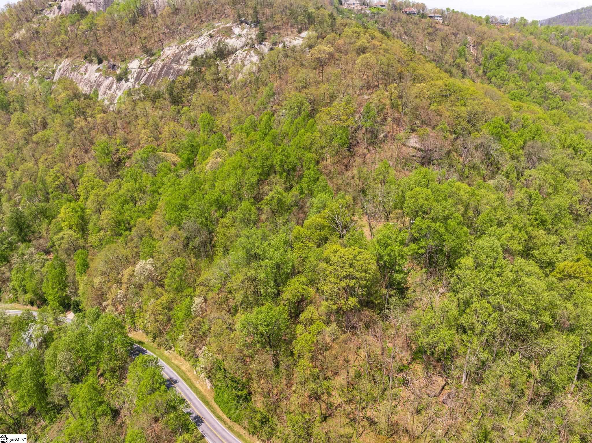 809 Plumley Summit Road Landrum, SC 29356 - Photo 23 of 28