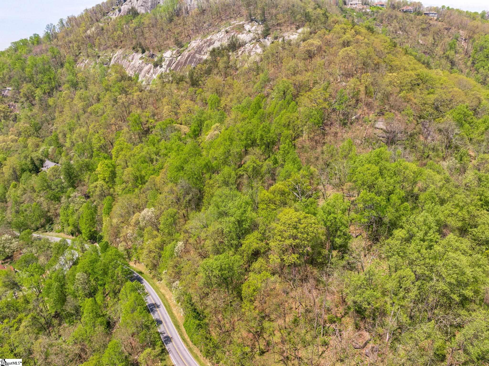 809 Plumley Summit Road Landrum, SC 29356 - Photo 24 of 28