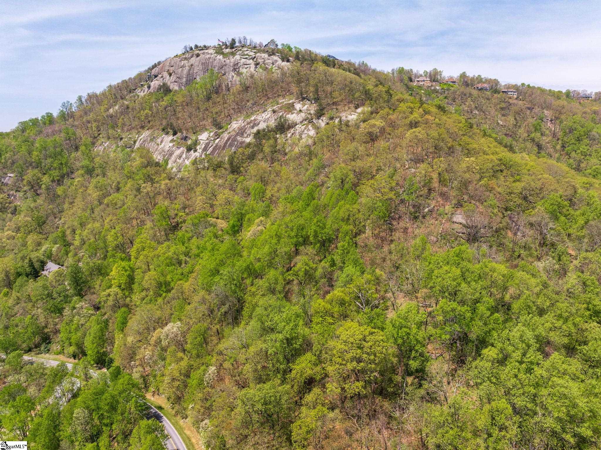 809 Plumley Summit Road Landrum, SC 29356 - Photo 25 of 28