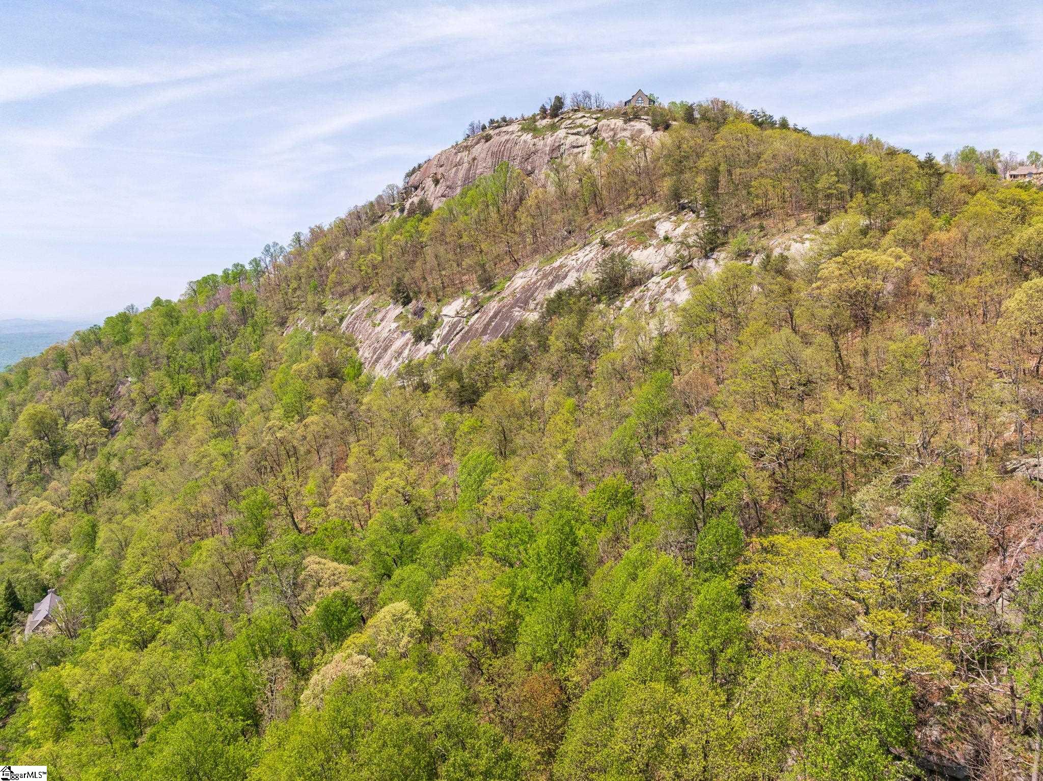 809 Plumley Summit Road Landrum, SC 29356 - Photo 27 of 28