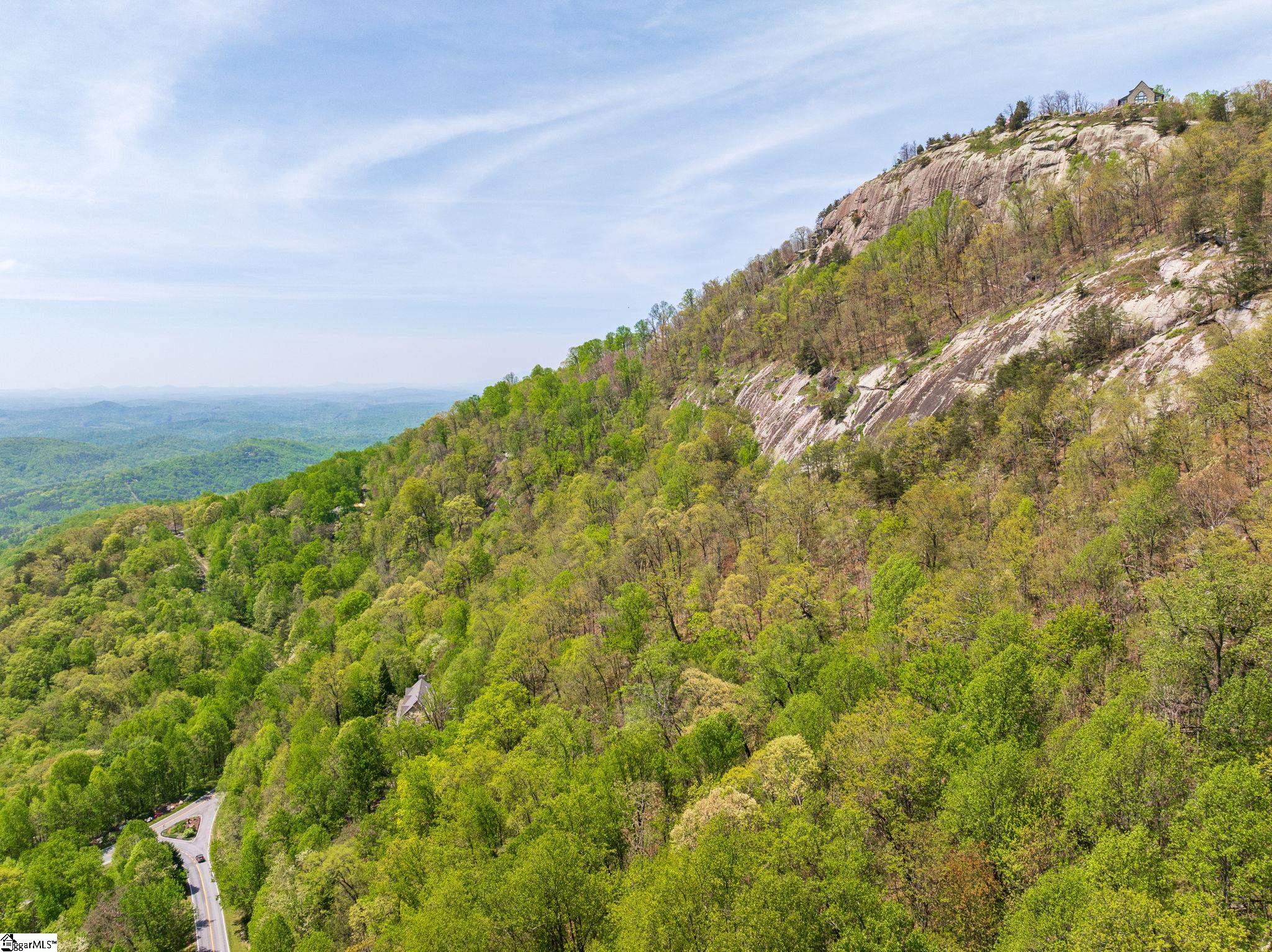 809 Plumley Summit Road Landrum, SC 29356 - Photo 28 of 28