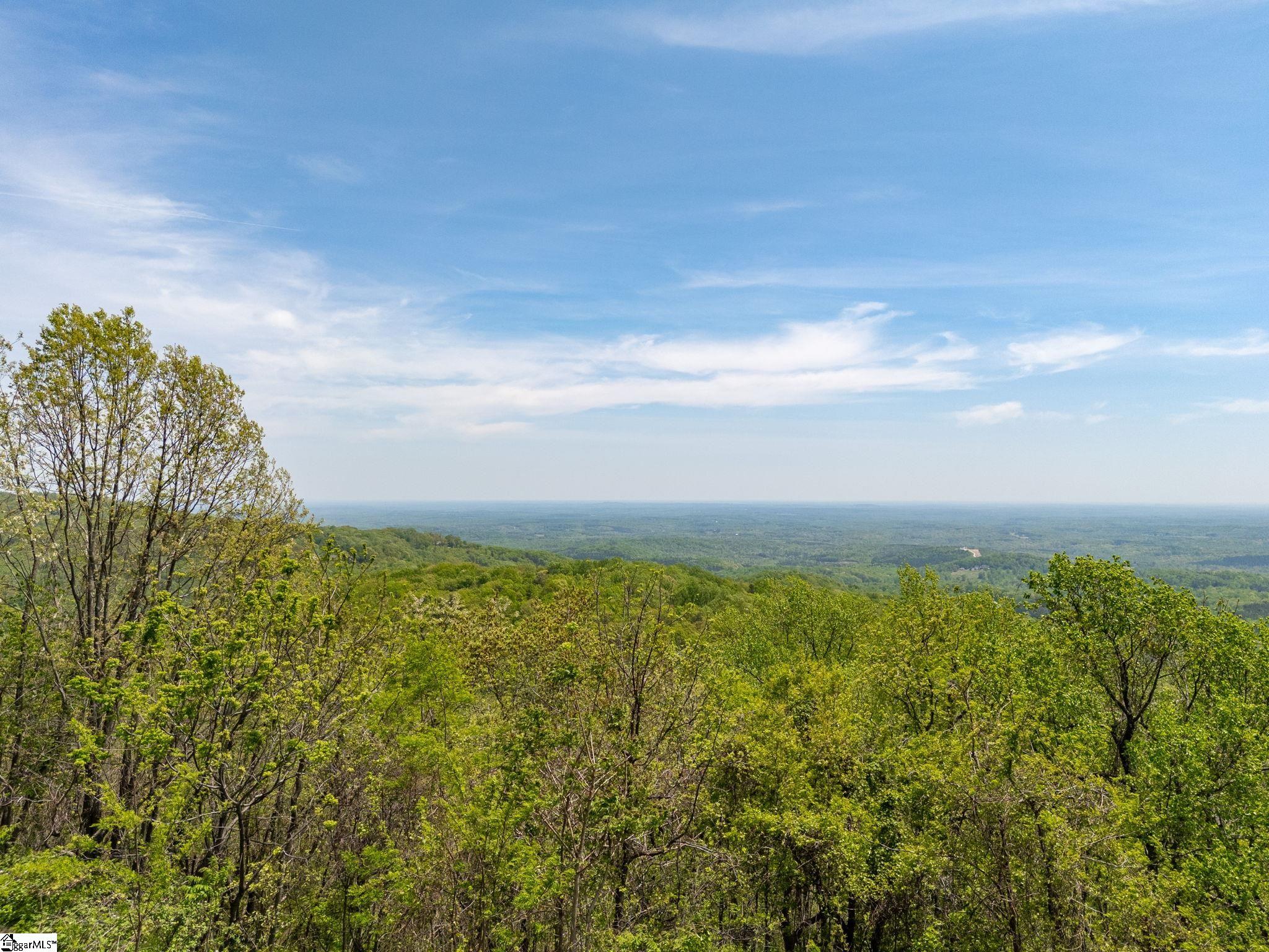 809 Plumley Summit Road Landrum, SC 29356 - Photo 3 of 28