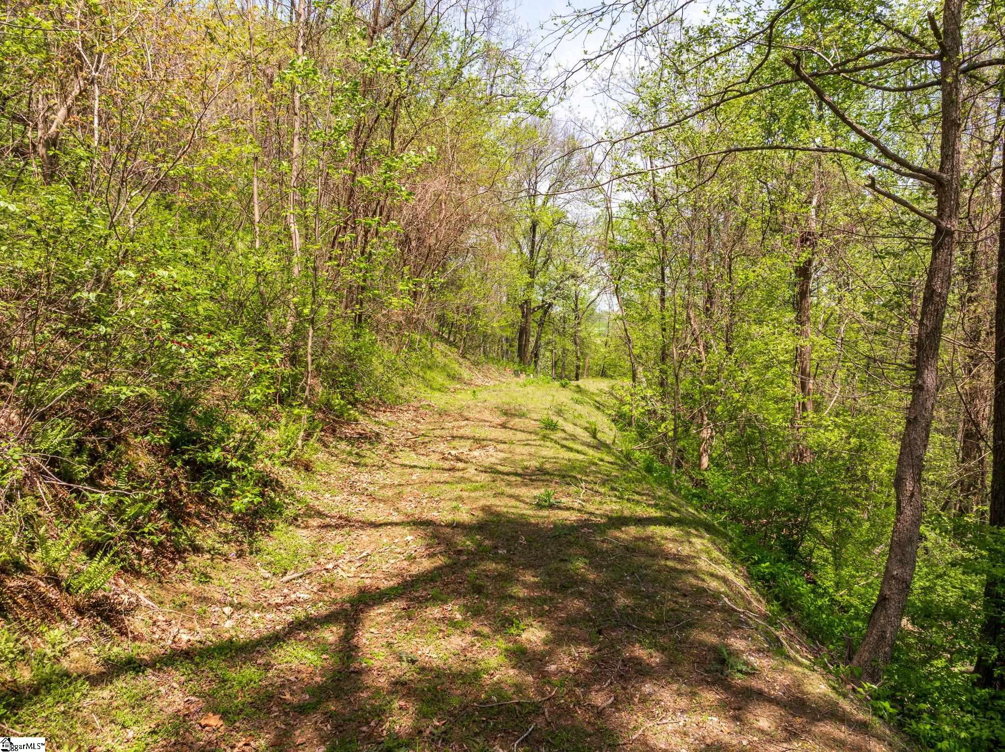809 Plumley Summit Road Landrum, SC 29356 - Photo 4 of 28