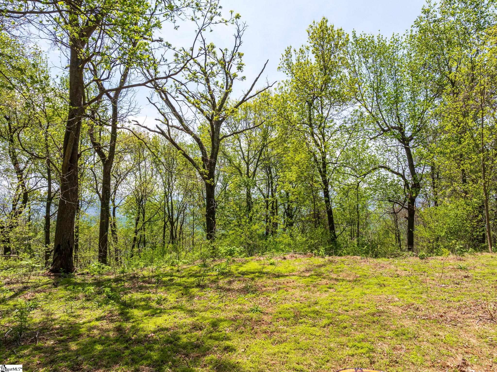 809 Plumley Summit Road Landrum, SC 29356 - Photo 5 of 28