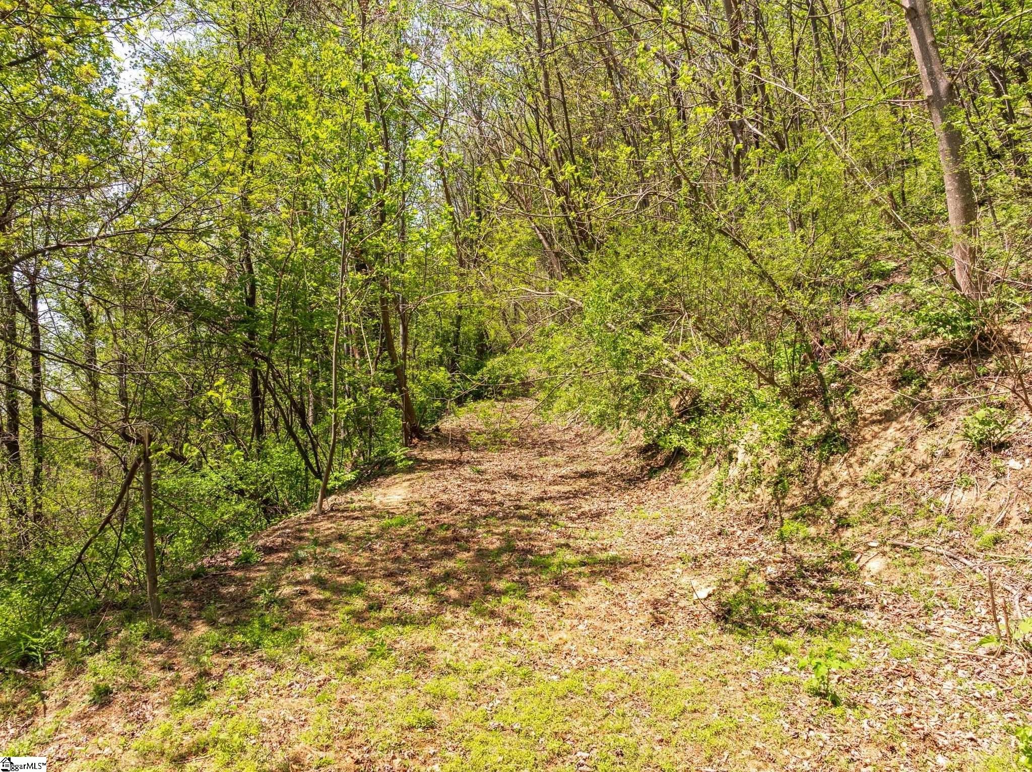 809 Plumley Summit Road Landrum, SC 29356 - Photo 7 of 28