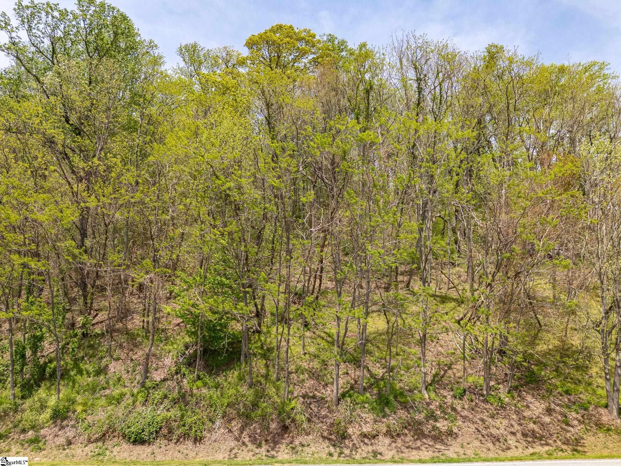 809 Plumley Summit Road Landrum, SC 29356 - Photo 8 of 28
