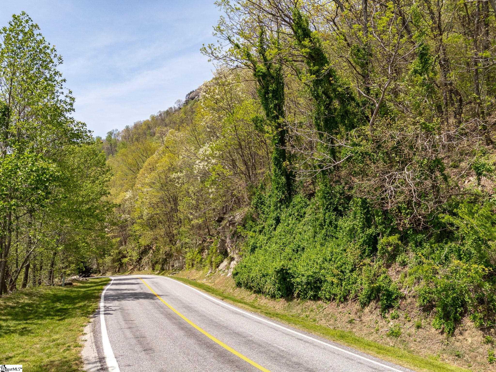 809 Plumley Summit Road Landrum, SC 29356 - Photo 9 of 28