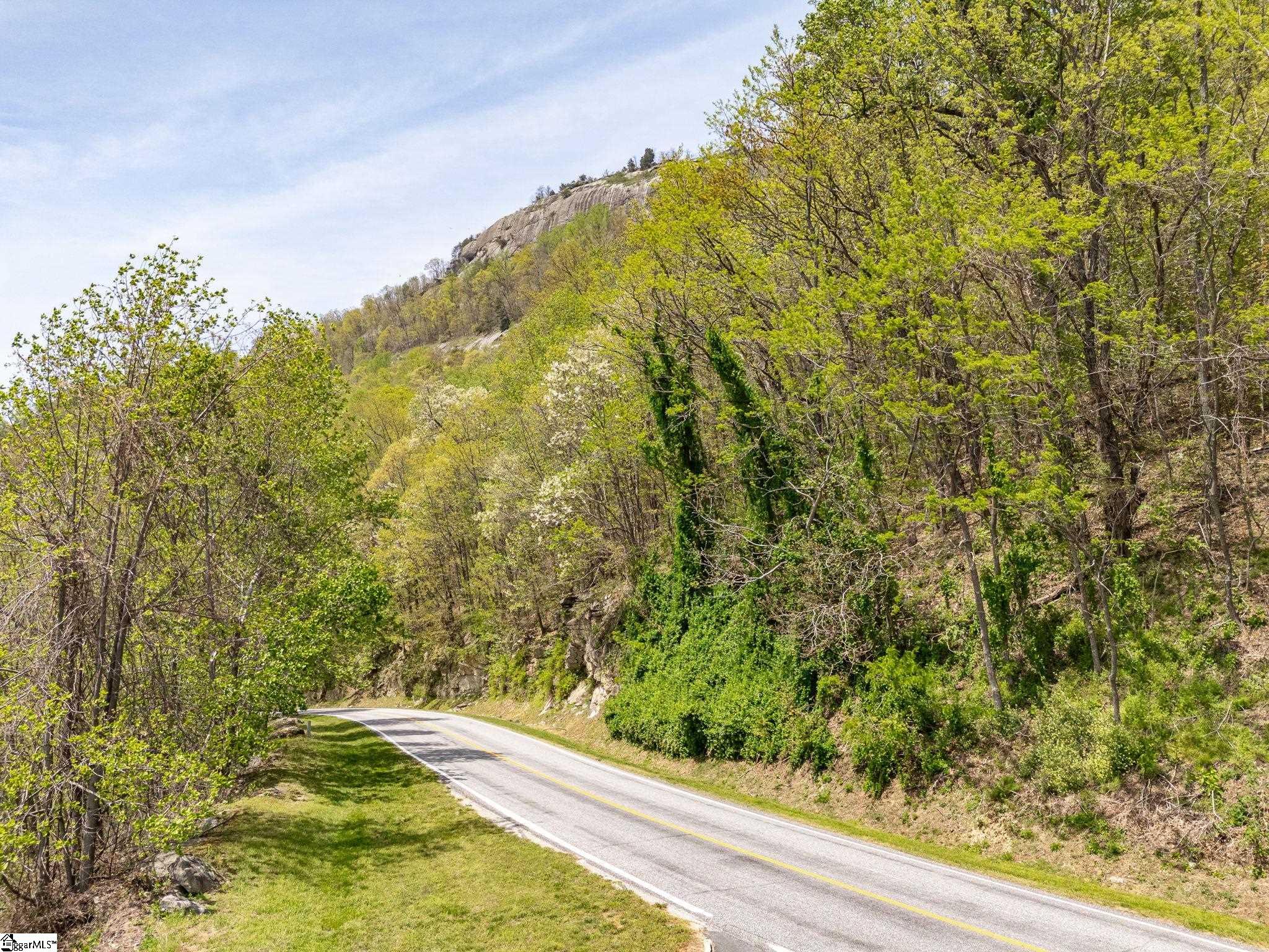 809 Plumley Summit Road Landrum, SC 29356 - Photo 10 of 28