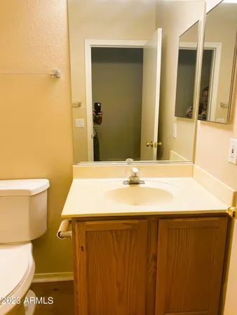 a bathroom with a sink a toilet and mirror